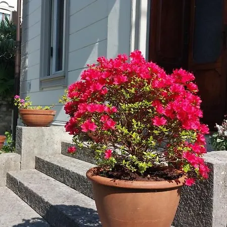 Santagata Como